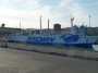 Navi e traghetti in Toscana - La M/N Moby Bastia nel porto di Piombino con la sua grande balena azzurra sulle fiancate - Fotografia 4 maggio 2012