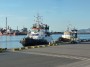 Navi e traghetti in Toscana - Il rimorchiatore Algerina Neri nel porto di Piombino ormeggiato davanti ad un rimorchiatore piÃ¹ piccolo - Fotografia 4 maggio 2012