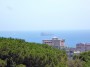 Navi e traghetti in Toscana - La nave cargo TantaT lascia il porto di Piombino - Fotografia 24 giugno 2012
