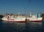 Navi e traghetti in Toscana - Le motonavi traghetto Toremar Giovanni Bellini e Marmorica ormeggiate in banchina a Piombino - Fotografia 1 settembre 2012