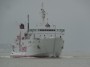 Navi e traghetti in Toscana - La motonave Toremar Aethalia in manovra nel porto di Piombino - Fotografia dicembre 2012