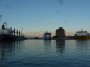 Navi e traghetti in Toscana - Navi nel porto di Livorno: D