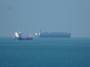 Navi e traghetti in Toscana - Un cargo Eurtrans ed uno Glovis al largo di Livorno - Fotografia marzo 2013