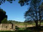 Palazzaccio - Cafaggio, Campiglia Marittima (LI) - L