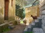 Palazzaccio - Cafaggio, Campiglia Marittima (LI) - Pecore e capre fra il palazzo e le stalle - Fotografia ottobre 2012