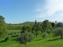 Palazzaccio - Cafaggio, Campiglia Marittima (LI) - Verde panorama sulla campagna toscana - Fotografia ottobre 2012