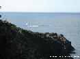 Parco di Punta Falcone, Piombino (LI) - 