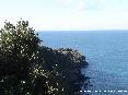 Parco di Punta Falcone, Piombino (LI) - 