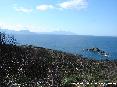 Parco di Punta Falcone, Piombino (LI) - 