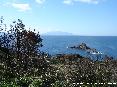 Parco di Punta Falcone, Piombino (LI) - 