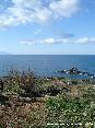 Parco di Punta Falcone, Piombino (LI) - 