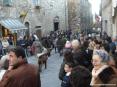 Sagra di Suvereto 2007, cinghiale, arte, cultura e folclore - Nel corteo sfilano anche animali come oche o capre