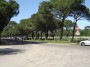 Parco naturale regionale Migliarino, San Rossore, Massaciuccoli, Tenuta di San Rossore (PI) - Uno dei viali alberati di accesso alla zona dell