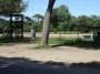 Parco naturale regionale Migliarino, San Rossore, Massaciuccoli, Tenuta di San Rossore (PI) - Zona dell