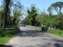 Parco naturale regionale Migliarino, San Rossore, Massaciuccoli, Tenuta di San Rossore (PI) - Strada di accesso alla tenuta nella zona del ponte sul fiume Morto - Fotografia maggio 2008, Toscana