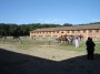 Parco naturale regionale Migliarino, San Rossore, Massaciuccoli, Tenuta di San Rossore (PI) - Scuola di equitazione per le prime passeggiate in sella ad un cavallo - Fotografia maggio 2008, Toscana