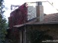 Sassetta (LI) - La facciata di una casa coperta dalle foglie di una pianta rampicante che si sta colorando delle tonalit dell