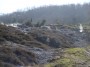 Sasso Pisano, Catelnuovo Val di Cecina (PI) - Le fumarole dell