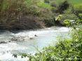 Saturnia Terme e paese (GR) - Nel piccolo torrente a valle l