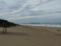 Spiaggia Pianetti, Marina di Castagneto, Castagneto Carducci (LI) - Vista verso sud della grande spiaggia di sabbia. Sullo sfondo a sinistra si scorge il golfo di Baratti, sulla destra l