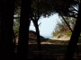 Spiaggia di Carbonifera, Piombino (LI) - Un accesso alla spiaggia e al mare dall