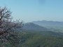 Sticciano - Roccastrada (GR) -Panorama da Sticciano verso Montepescali oltre i rami di un albero in fiore  - Fotografia febbraio 2014