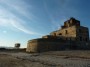 Torre del Sale e Foce del Cornia, Piombino (LI) - L