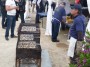 Tutti pazzi per la palamita 2012 - Gran grigliata di sardine sulla brace preparata dallo stand Arcipesca - San Vincenzo (LI), Fotografia 6 maggio 2012, Toscana