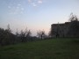 Vinci (FI) - Il campo di ulivi secolari che circonda la casa natale di Leonardo di Ser Piero da Vinci in località Anchiano con lo sfondo del cielo toscano - Fotografia marzo 2012, Toscana