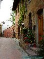 Certaldo(FI) - Fiori lungo i vicoli di questo splendido paese (MAG2006)