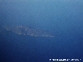Isola del Giglio (Gr) - Foto aerea.  Vista mozzafiato del gioiello dell