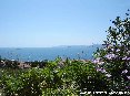 Piombino (LI) - Molte strade dalle colline della citt offrono panorami incantevoli. Un traghetto naviga verso l