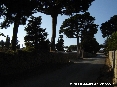 Populonia (LI) - 