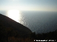 Populonia (LI) - 