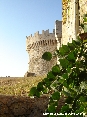 Populonia (LI) - 