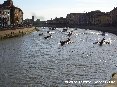 Pisa - Regata storica delle Repubbliche Marinare 2006