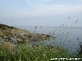 Localit Romito (LI) - 